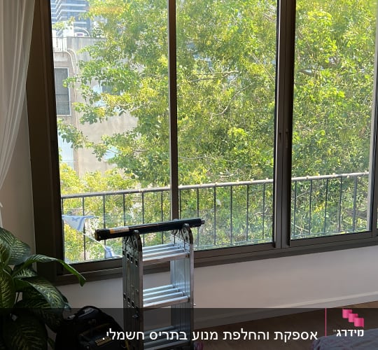 חלונות גדולים עם תריסים חומים בחדר מואר